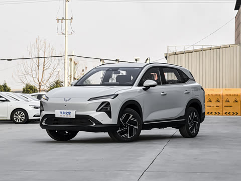 五菱汽车 五菱星光S 2025款 60km 进阶型
